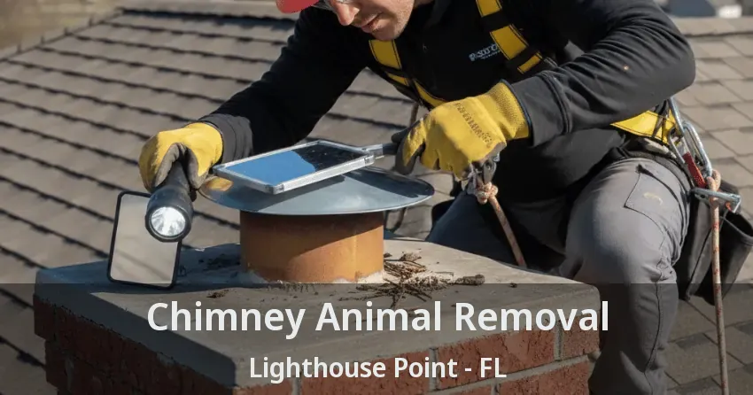 Chimney Animal Removal Lighthouse Point - FL