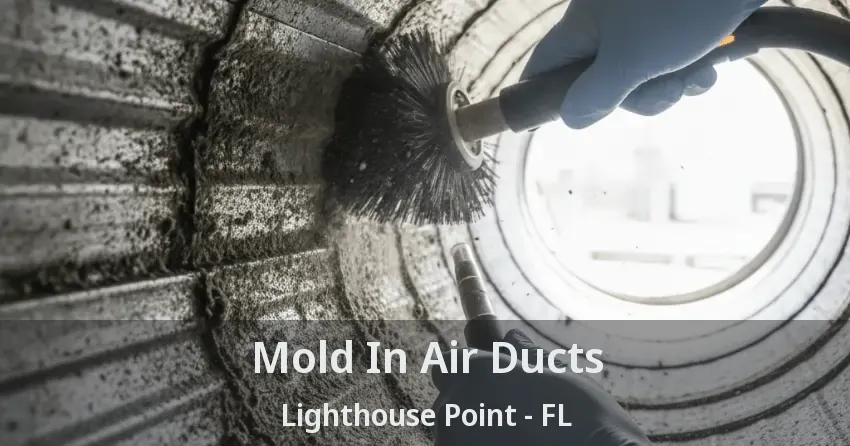 Mold In Air Ducts Lighthouse Point - FL