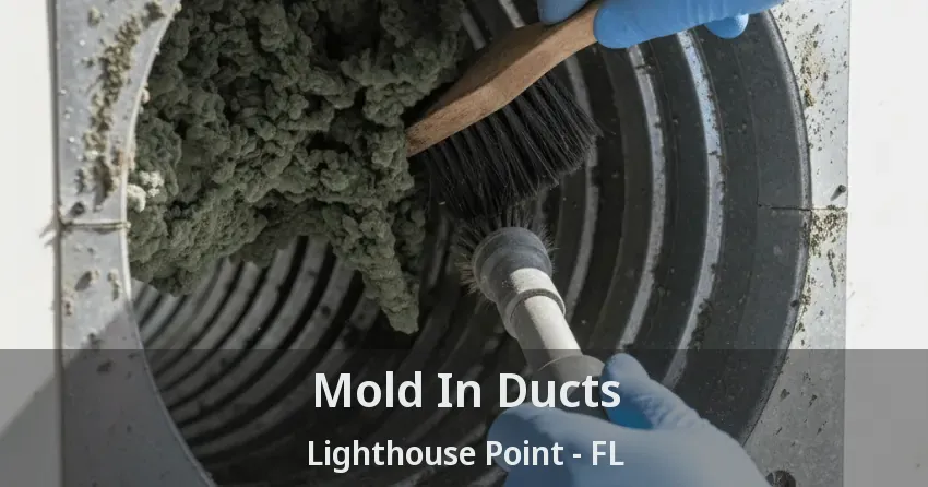 Mold In Ducts Lighthouse Point - FL Mold In Ducts Lighthouse Point - FL